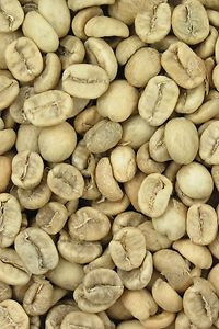 330 Degrees Trocknen Kaffee
