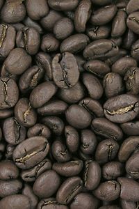 425 Degrees Stadt Geröstete Kaffee