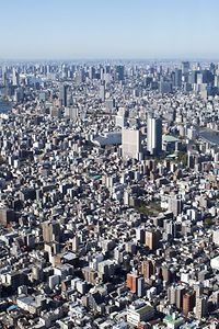 Tokyo Megalopolis