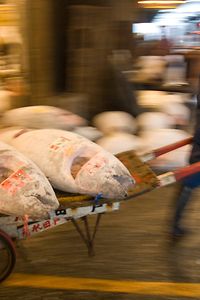 Marché aux poissons de Tsukiji