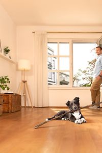 Dual Mortgages - image1.jpeg