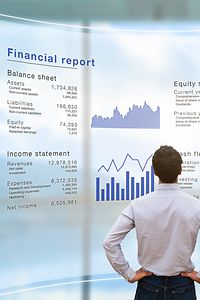 Panoramica del rapporto finanziario