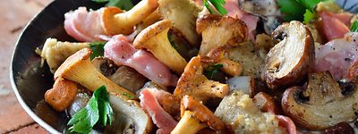 Fried Fresh Chanterelles with Dumplings
