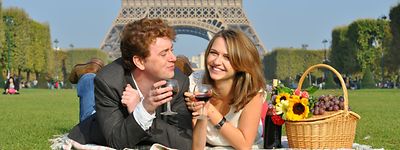 Picnic in Front of the Eiffel Tower