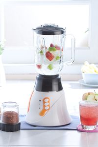 Picture of the Browne BL300 Blender