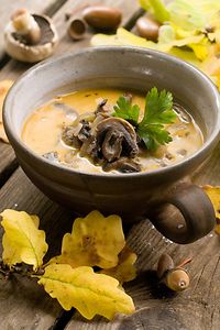 Champignon Cream Soup